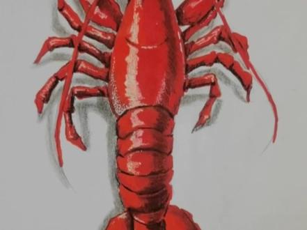 新的一年祝大家吃好喝好!!#画画 #零基础学画画#跟着抖音学画画 #画出幸福年 @DOU+小助手