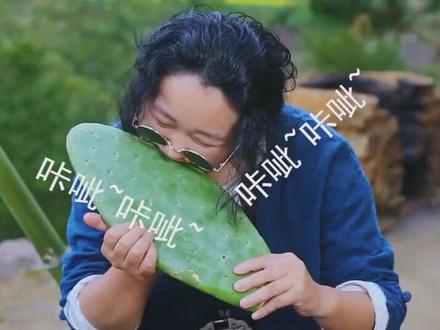 今天长见识了,仙人掌还能吃,也是很厉害了!@大野蜜探·背锅侠