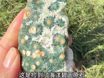 户外捡到的石头别丢了,可能价值不菲。 #奇石 #化石 #户外捡石