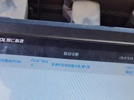 马自达六故障码P2187怠速时系统浓度太低-第1排