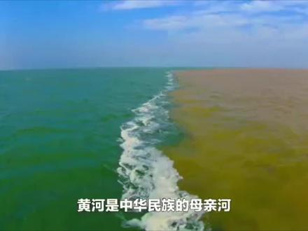 #黄河入海 由于黄河中的泥沙,流入大海时受到海水的顶托,延缓了泥沙的沉淀时间,黄河水和海水一时难以相融,交汇处就形成了一道明显的分界线,黄蓝交汇美景!#抖音看世界 #沿着黄河遇见海 #旅行 #科普一下