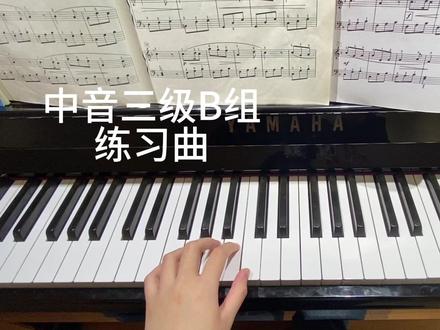 中国音乐学院考级 三级 规定曲目 B组练习曲