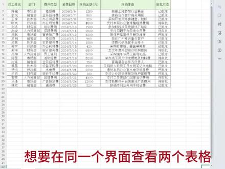 Excel双表并列屏幕对比排列#excel操作技巧 #wps表格 #电脑知识 #办公软件 #知识分享干货