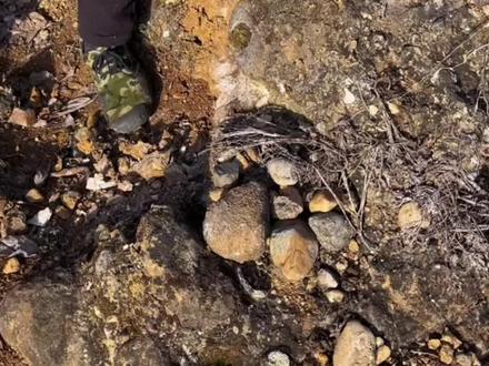 用不完、根本都用不完。分儿钱不用花都是山上捡的#丹阳神罐#空心石#植物造景石#天然花盆#山客盆景