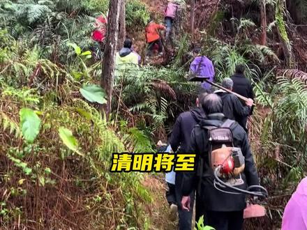 太公太婆藏好了吗?我们来找你了#清明#华南f3#祭祖#文化