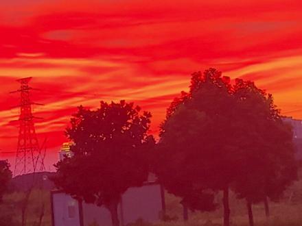 夕阳红原来这么美#vlog日常 #夕阳红 #暑假生活