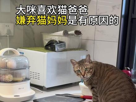 我和爸爸天下第一最最好~