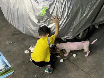 这个世界
怎么会只有一个名字
我的家在哪
在这个共存的地球
#我的人间记录