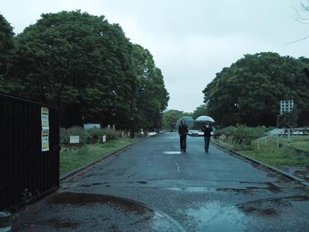 具体讲讲,什么是具体