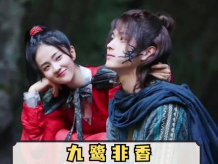 3年7部小说改编成剧,主演还是全明星阵容!“九鹭非香”是什么宝藏作者?#神剧蛙掘机 #dou是好剧安利官