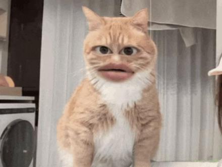 咪的天,他不光让咪当司机,还让咪炒菜#万万没想到#抽象#搞笑#娱乐评论大赏