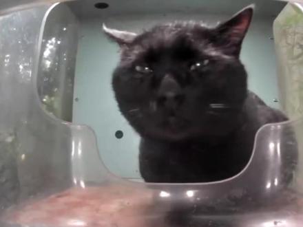 #死亡搁浅2这游戏终于登录PC了!