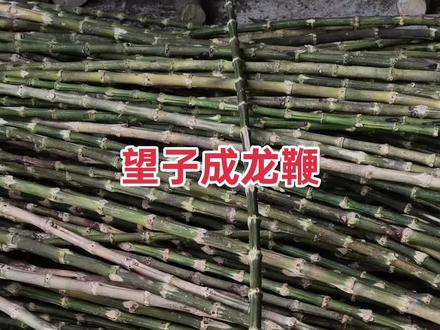 #手工打造 竹根制作小时候妈妈手里的“黄精棍”#教鞭