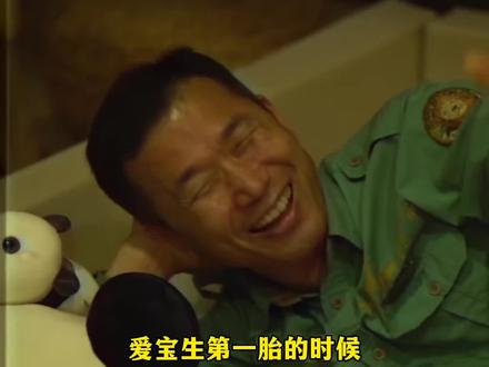网友说爱宝生孩子 姜爷爷比中了500万还要开心#爱宝 #大熊猫爱宝