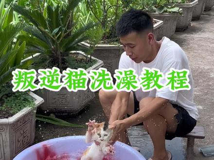 叛逆猫洗澡教程#反骨猫 #猫洗澡 #技术分享 #萌宠 #农村生活