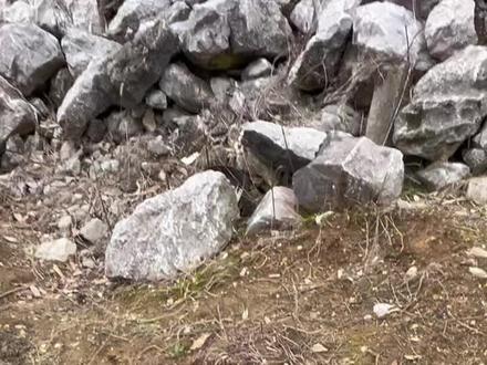 我说我在烧窑 你说我在哪里逍遥 蒜鸟 和你们说不清楚#回农村的生活 #创作者中心 #创作灵感