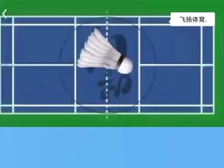 打了这么久羽毛球,边线规则你知道吗#打羽毛球🏸 #羽毛球