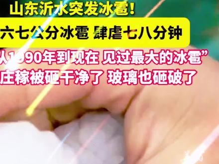 山东冰雹砸破玻璃庄稼被砸坏(太大了)千万注意啊