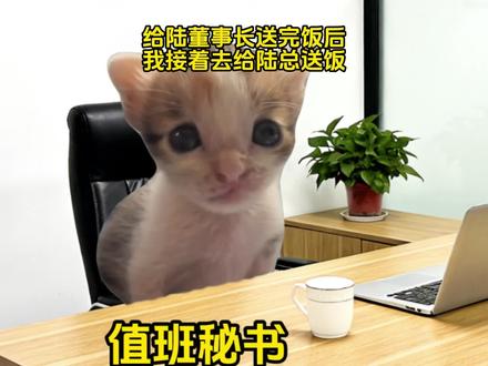 《喵喵控制》8#猫meme #猫meme故事 #上热门