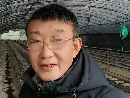 羊肚菌营养包感染(三) 羊肚菌营养包在灭菌彻底情况下如果发生感染,主要原因一是棚内温度过高,二是大棚通风不好闷。建议摆放营养包棚内温度控制在15度以下最好,如果温度超过15度不建议盖膜,同时随着温度升高,必须加大棚的通风量,在高温高湿闷棚情况下会导致大面积营养包感染。#羊肚菌 #羊肚菌种植 #羊肚菌种植基地 #食用菌产业 #我的乡村生活