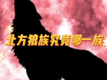 北方的狼族究竟是哪一族#知识分享 #北方的狼族 #抖音春节不打烊 #干货 #知识科普 @DOU+小助手