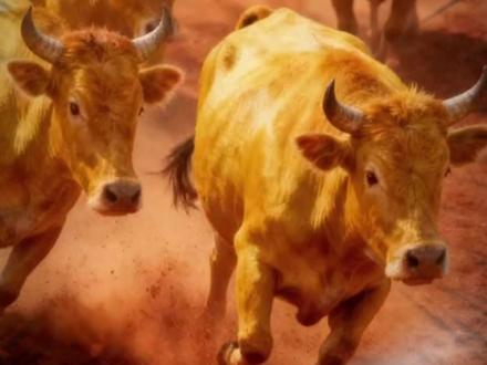 德宏 VS 红河,谁能赢?抢票开启,手慢无!#云南省城市足球联赛 #滇超联