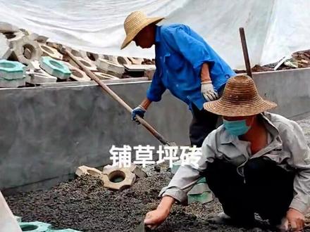 铺设时应轻轻平放,用橡胶锤锤打稳定,但不得损伤砖的边角。#草坪砖#铺砖 #停车场 #别墅 #装修#@抖音小助手