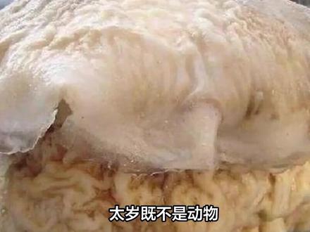 “太岁”到底是什么东西?我国科学家用精密仪器,解开了太岁之谜