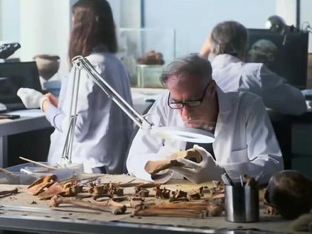 鸡是霸王龙的后代?科学家用鸡的DNA复活恐龙,真的能实现吗?#万物科普 #鸡 #霸王龙 #后代