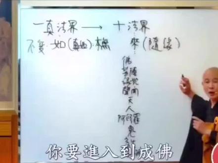 成fo的阶位,你到那一层了?#中华文化