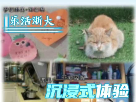 一起来沉浸式体验浙大宿舍区吧~#你好开学季#大学寝室 @抖音校园 #2023开学季