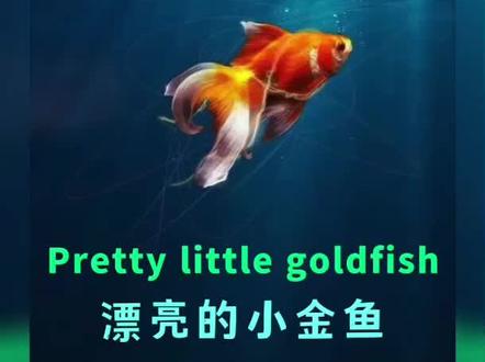 管管朗读英文小诗 英语小诗10句 英语朗读小诗好处 抖音 管管朗读英文小诗 英语小诗10句 英语朗读小诗好处 抖音