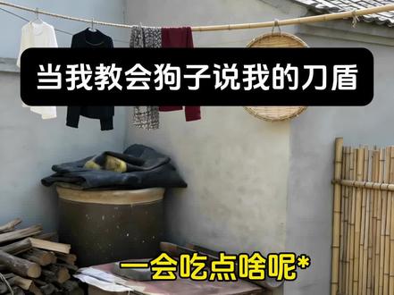 当我教会狗子说我的刀盾#猫meme#抽象#比比拉布#我的刀盾#八嘎呀路