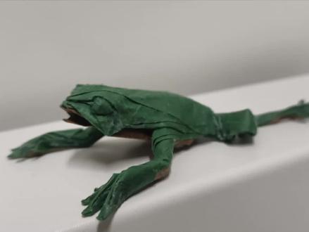 神谷树蛙折纸教程,超长爆肝(第一部分)