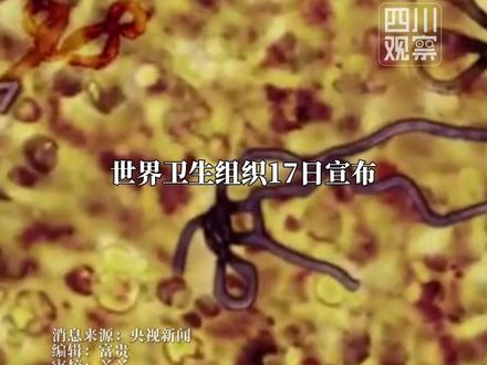 #刚果金新一轮埃博拉疫情已致80死 世界卫生组织17日宣布:非洲埃博拉疫情构成“国际关注的突发公共卫生事件”,但未达到“大流行性突发事件”标准。
