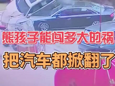 熊孩子能闯多大的祸 #热点新闻事件 #鞭炮