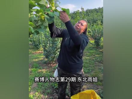 东北雨姐不是赛博粉条 #东北雨姐 #雨姐 #人物志 #盘点系列