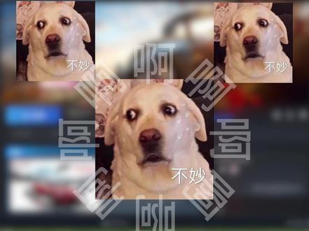 赛博花柳来袭,注意保护好自己的电脑噢! #steam #单机游戏 #游戏 #知识分享 #教程