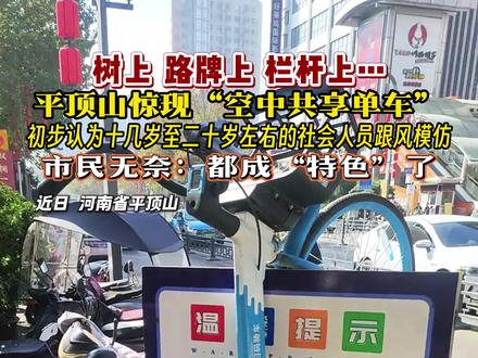 树上,路牌上,栏杆上…平顶山惊现“空中共享单车”,市民无奈:都成“特色”了#共享单车 #不文明行为 #曝光 #民生关注 #百姓生活