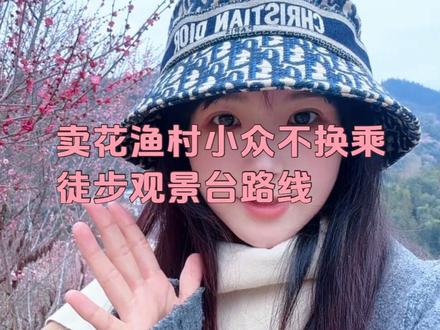 一个视频教会你怎么不换乘去最好看的卖花渔村观景台#黄山导游 #卖花渔村 #卖花渔村赏花 #黄山跟拍 #黄山旅游
