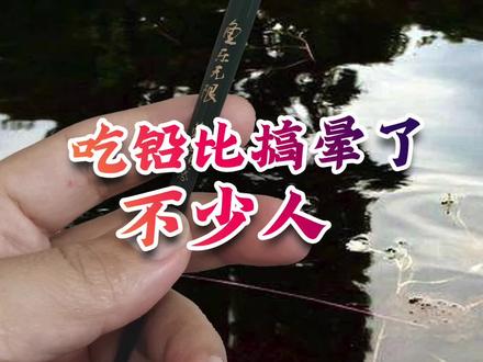 浮漂吃铅比搞晕了不少人#dou是钓鱼人 #钓鱼技巧 #调漂技巧