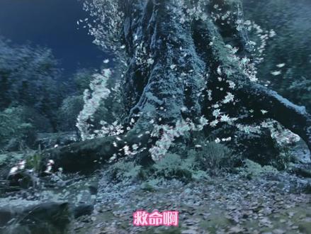 #山有木兮木有心又燃又暖心 太初是新月的唯粉吧,眼里只有新月公主!#山有木兮木有心