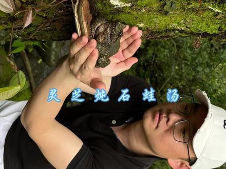 云芝炖石蛙,没想到加入茶叶可以提鲜#户外美食 #石蛙养殖