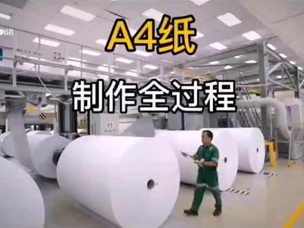 A4纸制造过程#工厂实拍视频