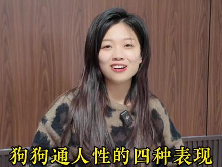 德牧通人性的四种表现 #纯种德牧 #赛级德牧 #德国牧羊犬