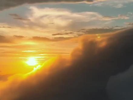 #单依纯 #单依纯新歌 #单依纯如星
单姐新歌OST《如星》正式上线!
@单依纯