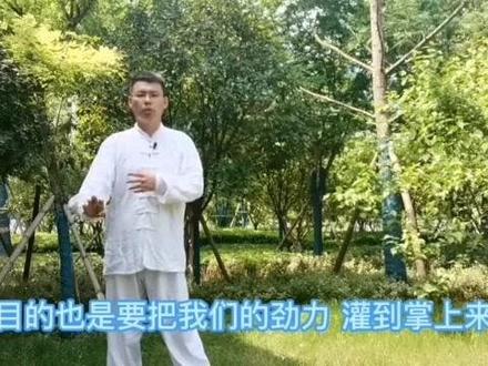 少林罗汉十八手 qingfeng讲解