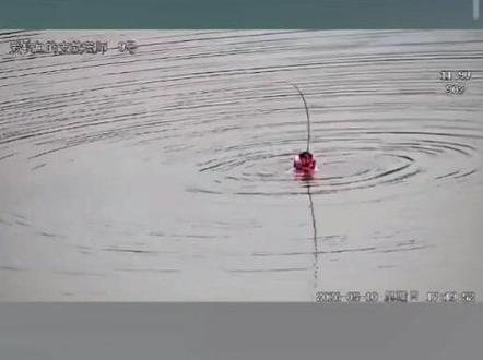 沈老师下水溜鱼,目测50斤巨物,单尾最重唾手可得,可惜遗憾收尾!
@爱钓鱼的支教老师
#擒龙诀硬挺王大鱼挑战赛第二季 #荒野挨饿王大鱼挑战赛第二季 #擒龙诀硬挺王大鱼挑战赛 #莽莽克拉斯 #刷锅传媒