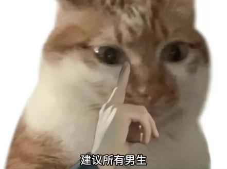 建议所有男生都去让豆包分析自己的长相和风格
#男生穿搭 #变帅 #男生必看 #帅哥 #豆包