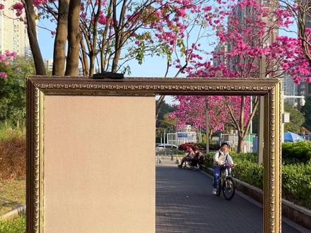 市区里开满紫花风铃木的小路…#创意 #隐形画